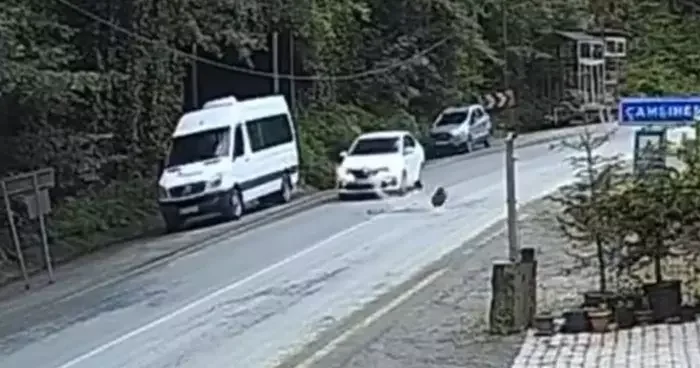 Otomobil düşen kayadan saniyelerle kurtuldu