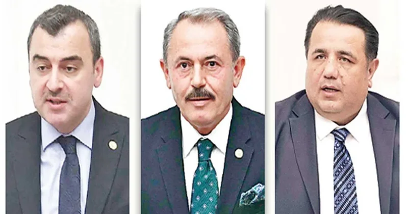 İşte zeytinlikleri bitirecek teklif sahipleri Sözcü Gazetesi