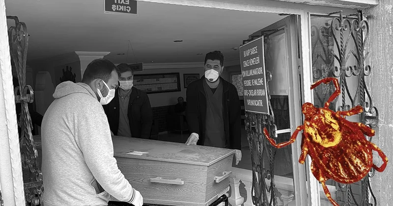 Kene yine can aldı: Şehirde hayatını kaybedenlerin sayısı 8 oldu Sözcü Gazetesi