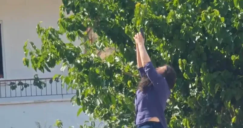 Erkek arkadaşının ofisine ateş açıp, kendini vurmaya çalıştı