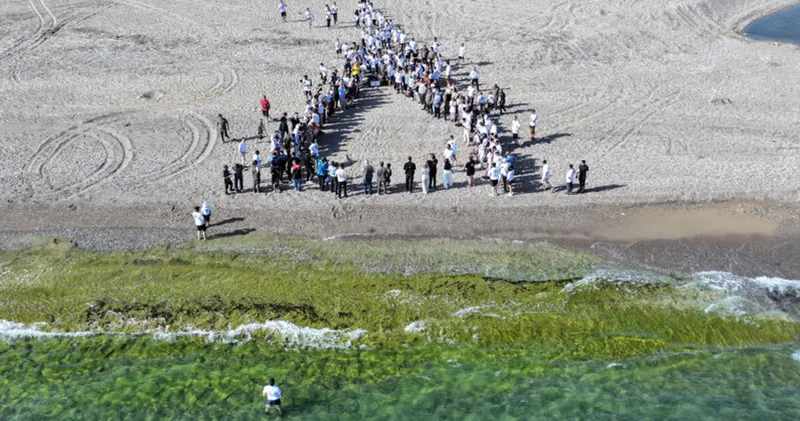 Uydu izleme cihazı takılan 2 deniz kaplumbağası denize salındı