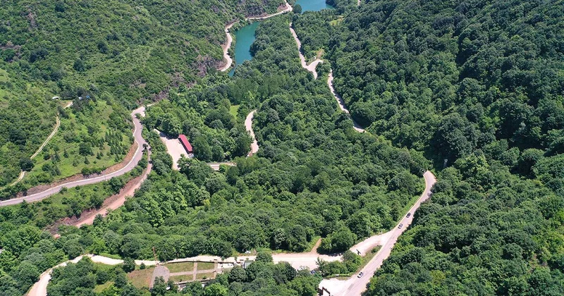 Türkiye nin orman varlığı 23,4 milyon hektara ulaştı