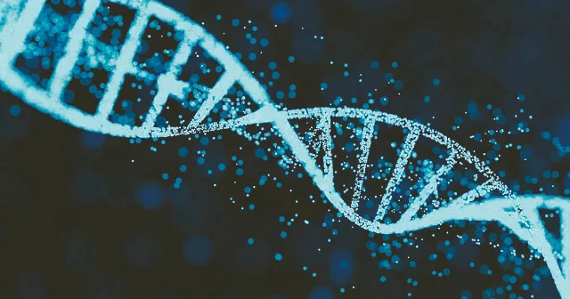 24 milyon yıllık fosilden proteinler çıkarıldı Dünya Haberleri