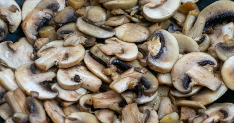 Tüketmeyin, iade edin! Marketlerde satılan mantarlar geri çağırıldı Sözcü Gazetesi
