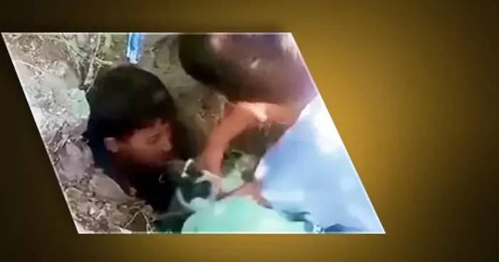 Minik kahramanlar, Ağrı da yavru kediyi ölümden kurtardı