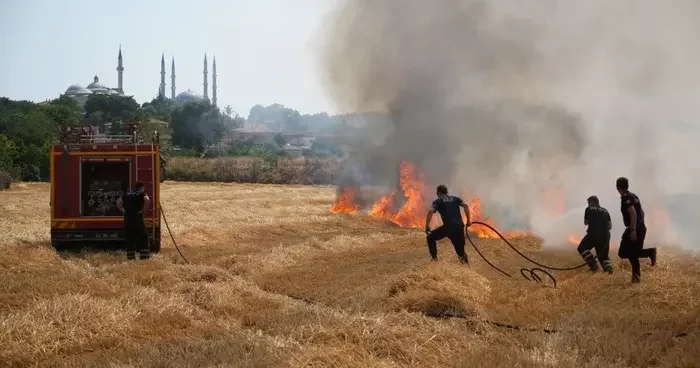 Edirne’de anız yangını yerleşim bölgesine metreler kala söndürüldü