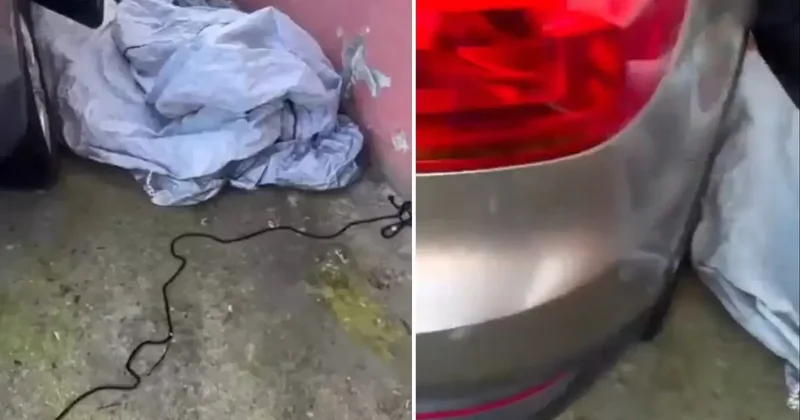 Aracının üzerini 2 ay sonra açan vatandaş karşılaştığı manzara karşısında şoke oldu