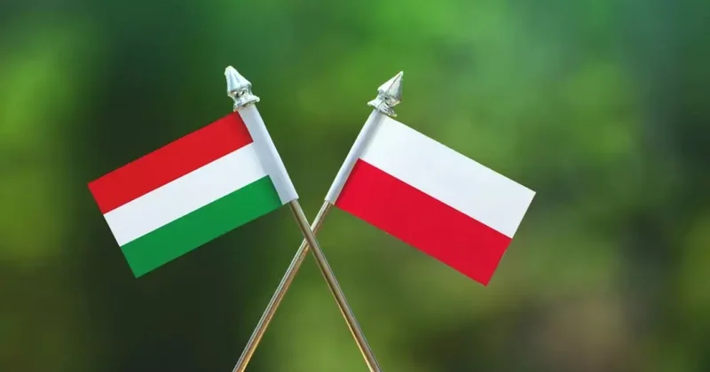 İki ülke arasında kriz! Peş peşe açıklamalar! Büyükelçi geri çağrıldı