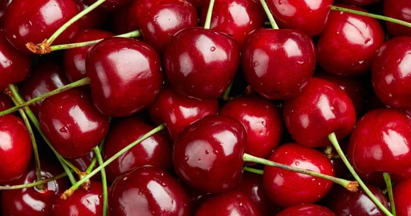 Zirai don kirazı vurdu, ihracatta büyük kayıp yaşandı