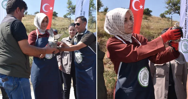 Afyonkarahisar da 1000 kınalı keklik doğaya bırakıldı Hayat Haberleri