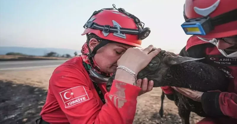 Gelibolu yangınında yürekleri ısıtan görüntüler! Ekipler koyunu önce kurtardı sonra sarıldı