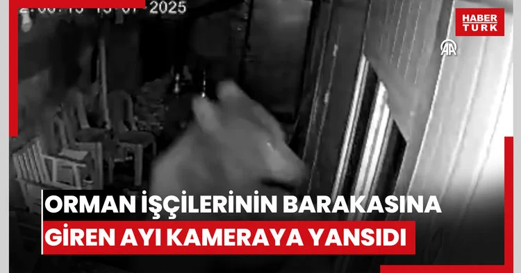 Orman işçilerinin barakasına giren ayı kameraya yansıdı