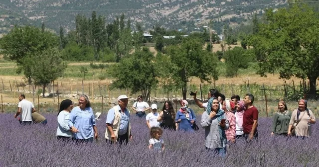 Lavanta tarlalarıyla kırsal mahalleler turizm merkezi oldu Adana Haberleri