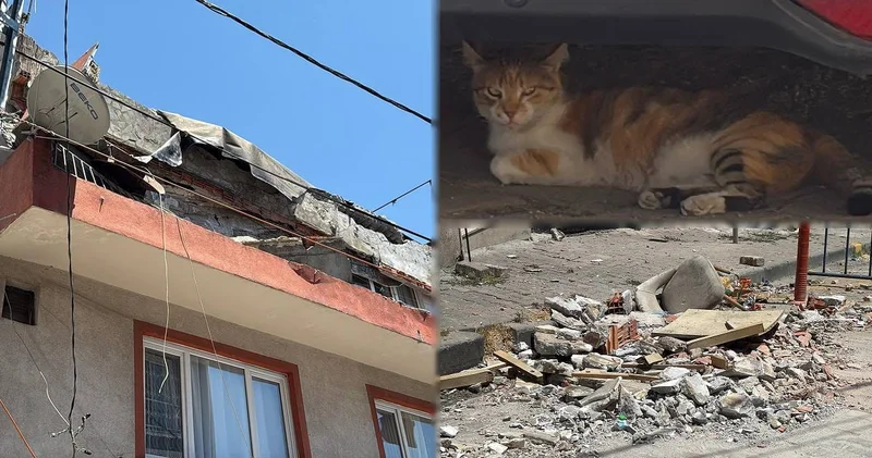Kağıthane’de balkon çöktü: ‘Benekli’ son anda kurtuldu