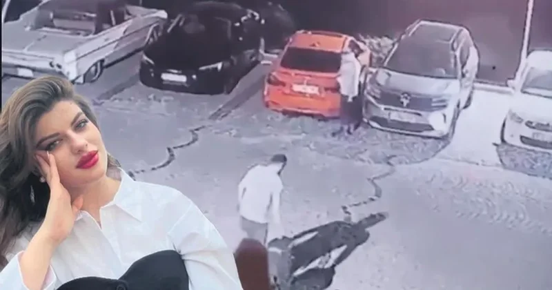 Valizli cani cesedi 500 bin TL’ye taşıttı
