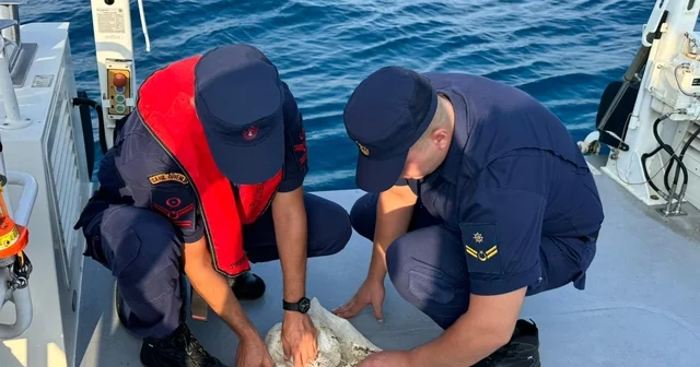 Antalya da çuvala takılan deniz kaplumbağasını sahil güvenlik kurtardı Antalya Haberleri