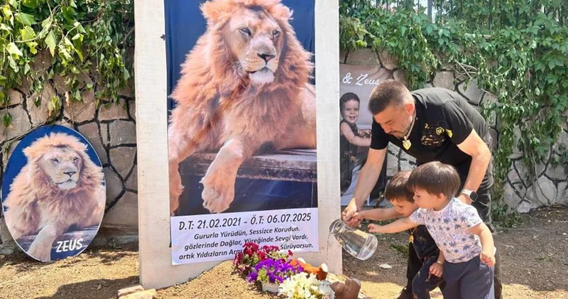 Aslan Zeus’un ölümüne suç duyurusu: Uyutularak yakalanabilirdi
