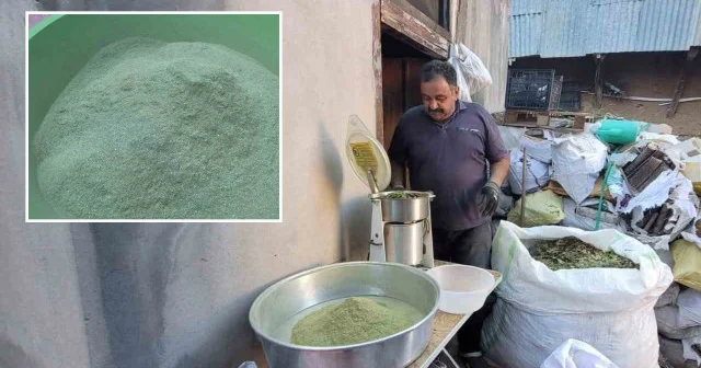 120 çeşit bitkinin karışımıyla elde ediliyor: Zetrin Erzincan Haberleri