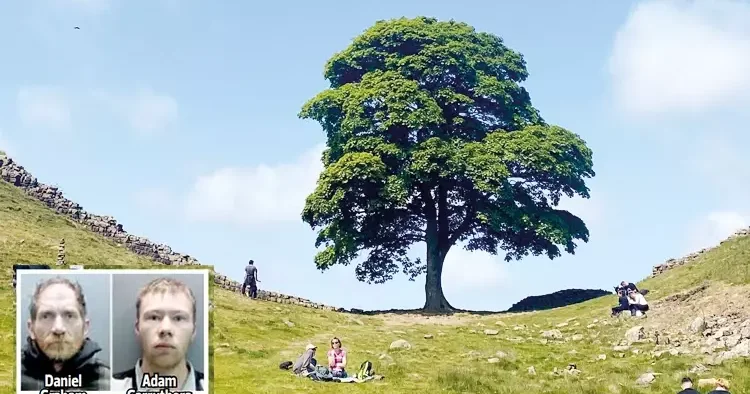 RobIn Hood‘un kemikleri sızladı