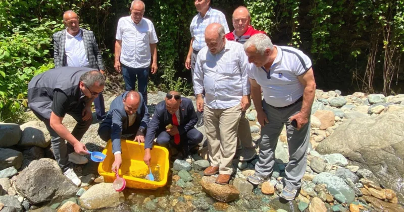 Trabzon da 10 bin alabalık yavrusu Küçükdere Vadisi ne bırakıldı