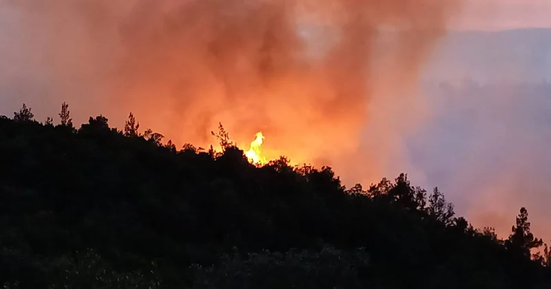 Balıkesir alev alev! Bir mahalle tahliye edildi