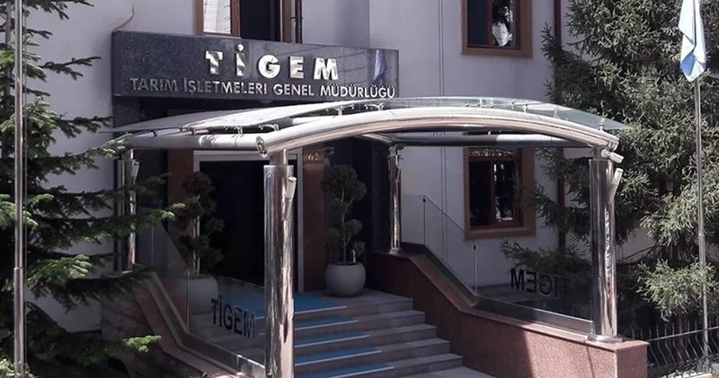 TİGEM Dalaman daki iki tarım dışı araziyi kiraya verecek