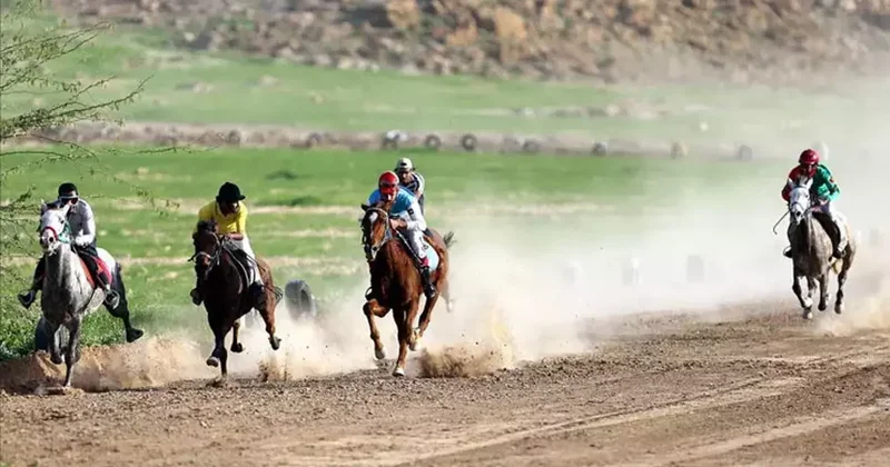 Bingöl de at yarışları yapıldı Spor Haberleri
