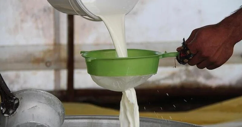 Çiğ süt fiyatları 2025: 1 litre süt ne kadar, kaç TL oldu, kaç TL?