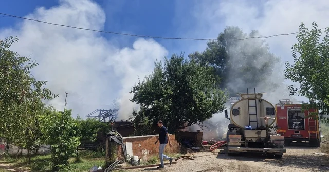 Tokat ta çıkan yangında 7 büyükbaş hayvan öldü Tokat Haberleri