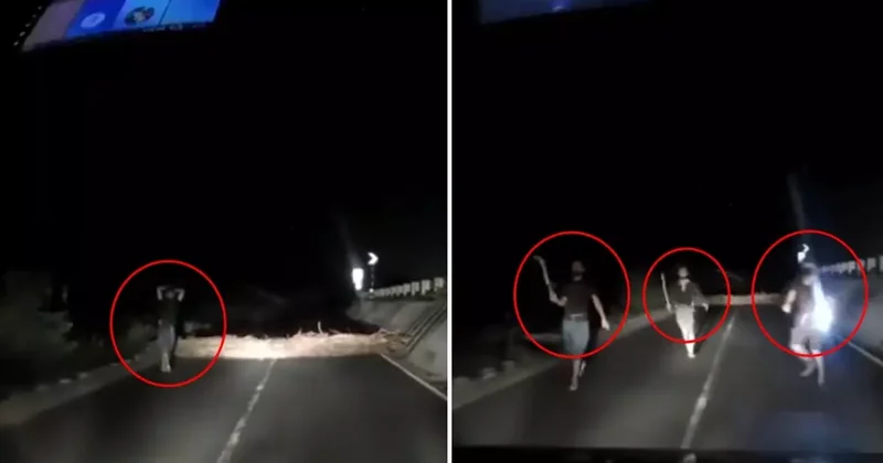 Korku filmlerini andıran görüntü! Aniden yola fırladılar, sürücü geri manevra yaparak kurtuldu