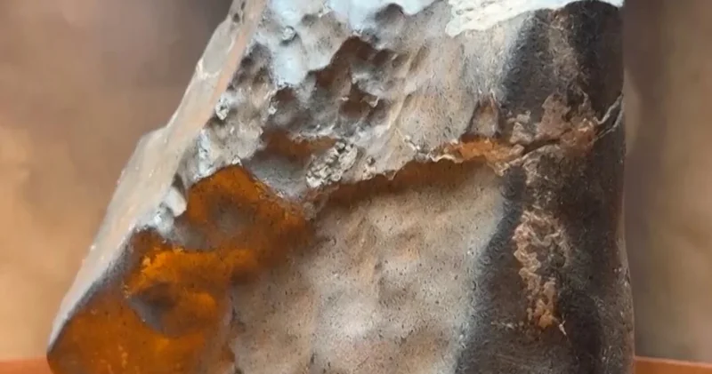 Nijer in ıssız bir bölgesinde bulundu, 5,3 milyon dolara satıldı!