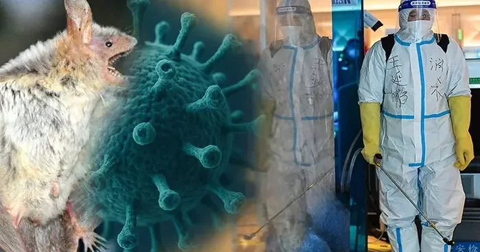 Çin de yarasadan gelen yeni virüs alarmı mı var? ‘Henipavirus’ gerçekten tehdit mi? Uzmandan önemli açıklamalar...