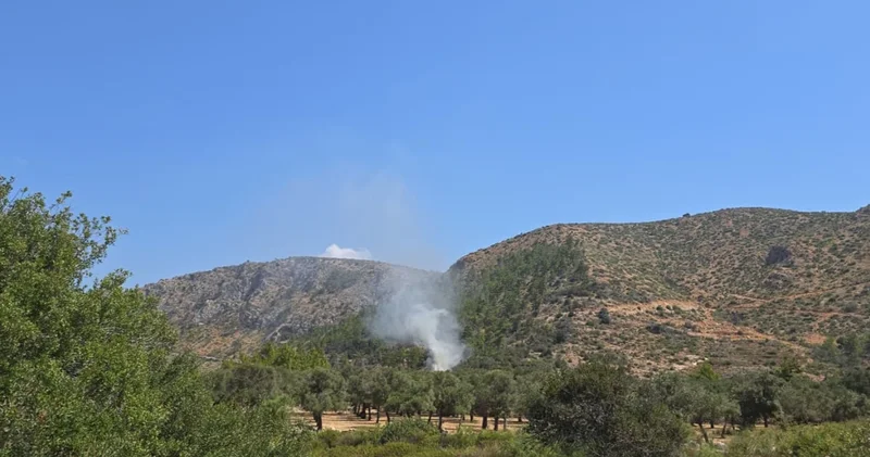 Bodrum da ev yangını ormana sıçramadan söndürüldü