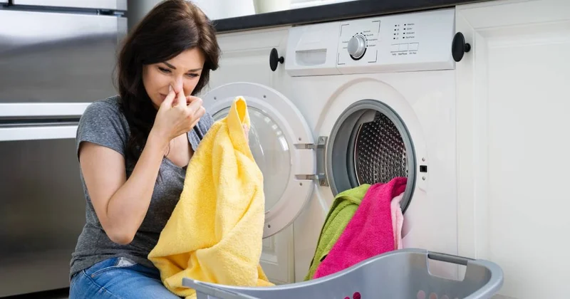 Sirke veya soda değil: Çamaşır makinesindeki kötü kokuyu yok ediyor, tek 1 yaprak yetiyor Sözcü Gazetesi