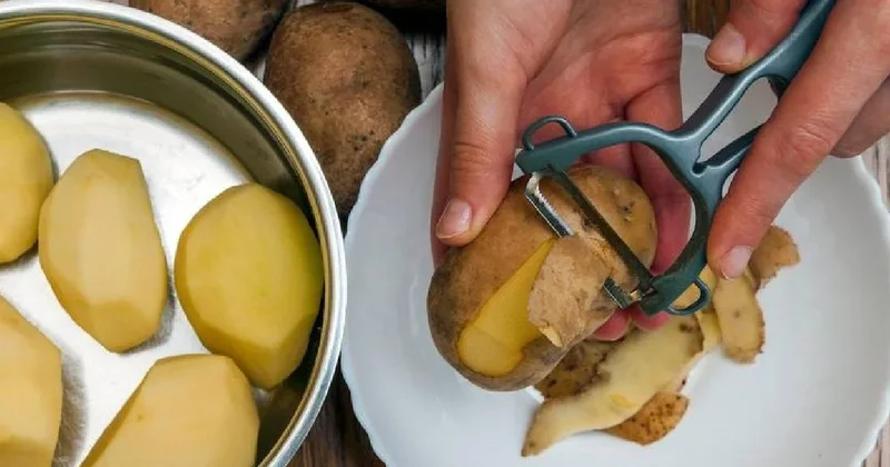 Patates kabuklarını çöpe atanlar pişman olacak Sözcü Gazetesi