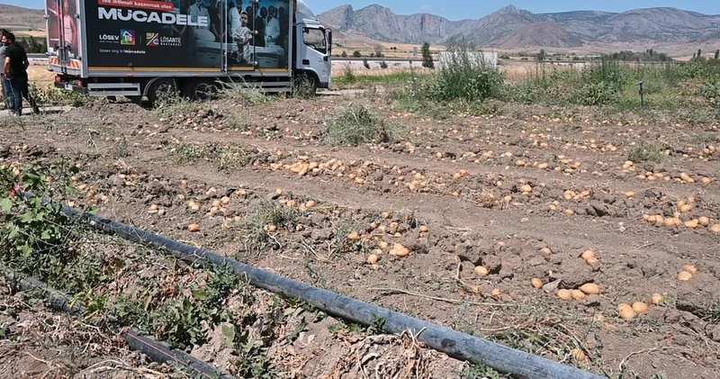 Yozgat’ta soğan ve patates tarlada kaldı: Çiftçi ürününü ücretsiz dağıtıyor