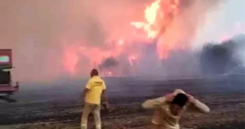Çanakkale de alev savaşçılarının zorlu mücadelesi kamerada! Ateş çemberinin içinde kaldılar