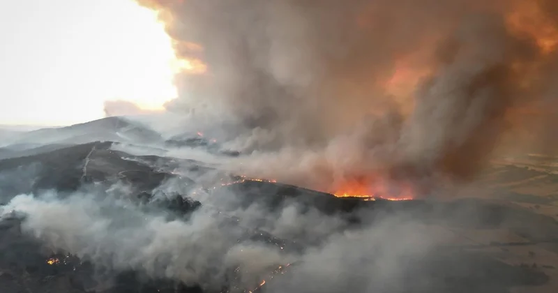 Çanakkale de orman yangınıyla mücadele aralıksız sürüyor
