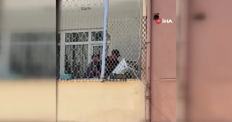 Kombi hırsızlarından pes dedirten savunma: Parayla aldık