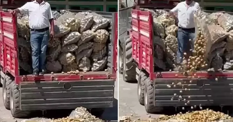 Çiftçi bir traktör patatesi köy meydanına döktü, bakanlık soruşturma başlattı