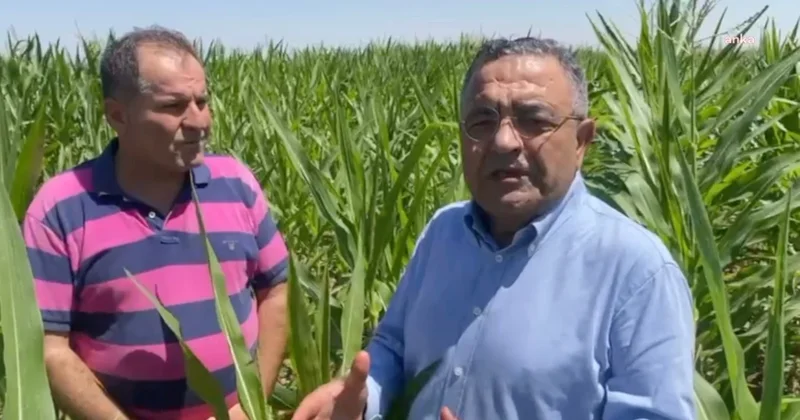 Diyarbakır’da çiftçiler ve CHP’li Tanrıkulu: AKP iktidarları döneminde çiftçiler fakirleşmiştir Sözcü Gazetesi