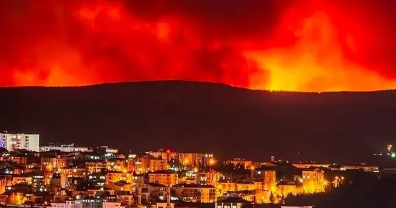 Çanakkale’de orman yangını: Beş köy tahliye edildi, Tarihi Alan kapatıldı