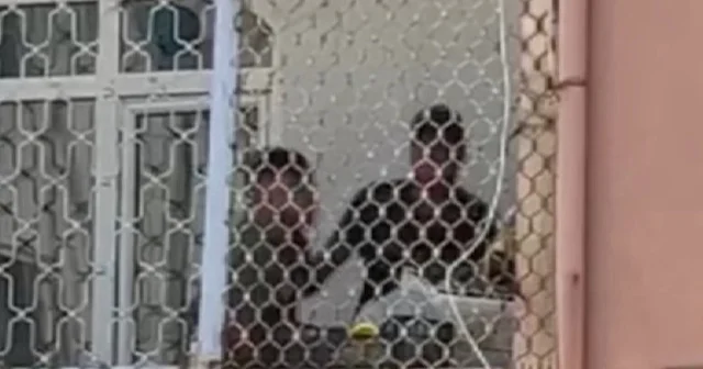 Esenyurt ta mühürlü binada hırsızlık: Parayla aldık savunması kamerada VİDEO İZLE