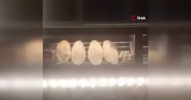 Ekmek fırınında mide bulandıran görüntü