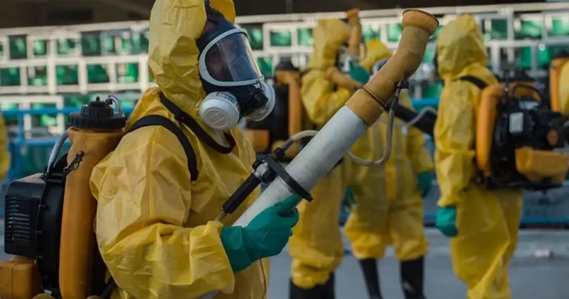 Chikungunya virüsü hızla yayılıyor! 16 ülkede 240 binden fazla vaka, 90 ölü