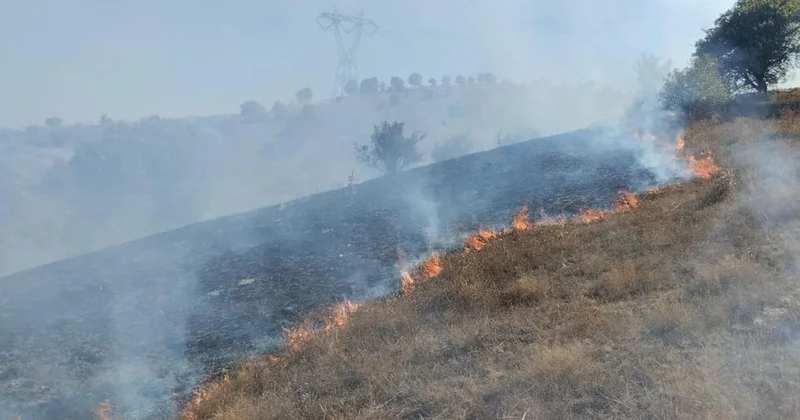 Tokat ta makilik alanda yangın