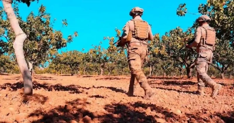 Kilosu bin liraya fırladı jandarma hasat öncesi nöbet tutmaya başladı Sözcü Gazetesi