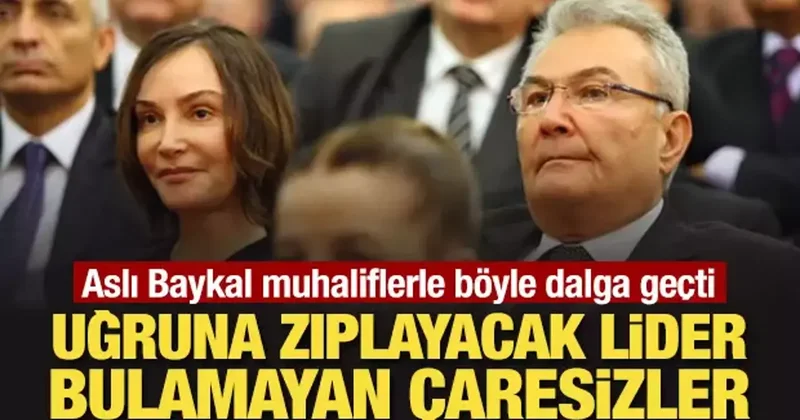 Aslı Baykal muhaliflerle böyle dalga geçti: Uğruna zıplayacak lider bulamayan çaresizler