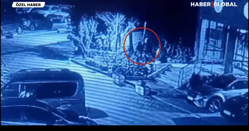 İstanbul da kediye tekmeli saldırı: Savcılığın takipsizlik kararına itiraz