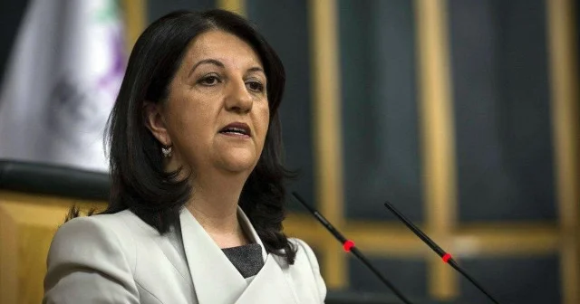 DEM den İmralı ziyareti sonrası açıklama: Kardeşler kavga eder ama biri diğerisiz olmaz Politika Haberleri